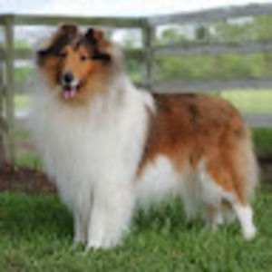 Meet your Posher, Margie